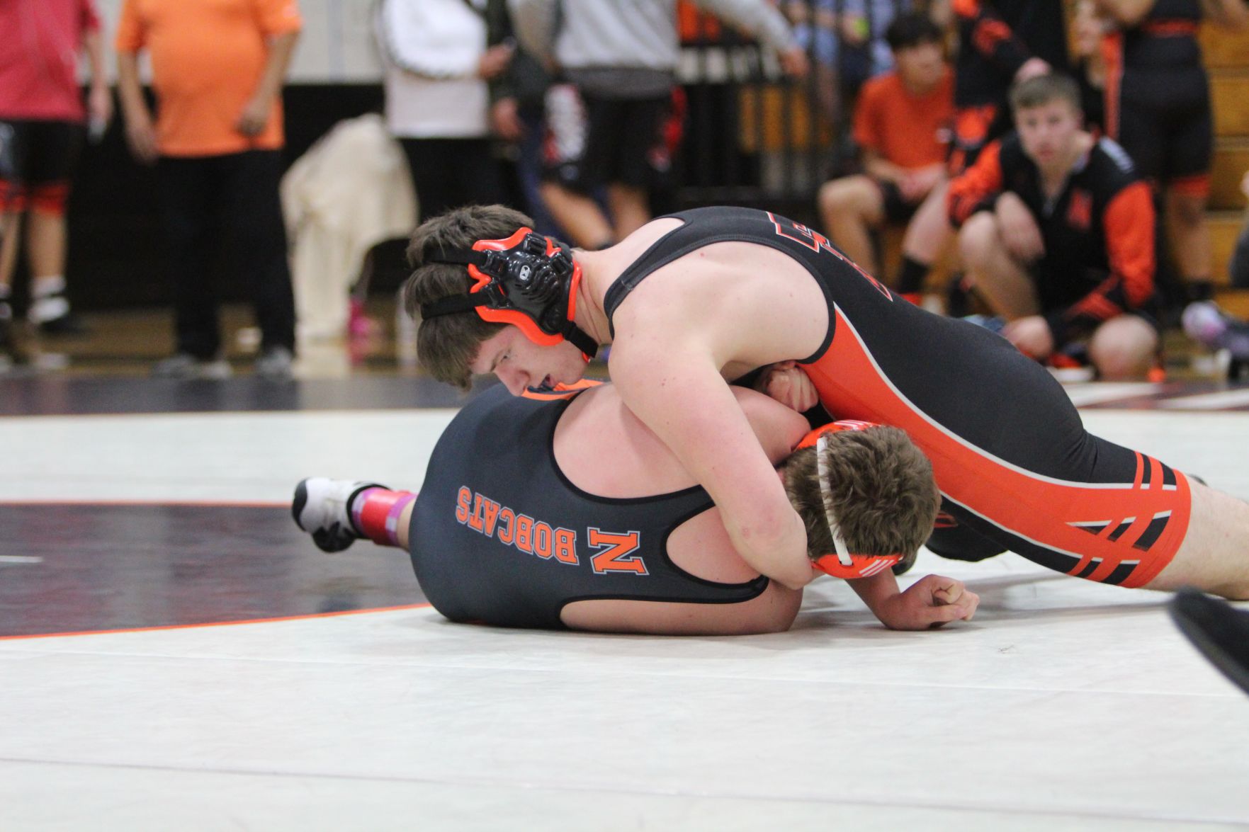 wrestling.jpg